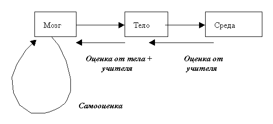 Модель обмена сигналами между
      мозгом, телом и средой