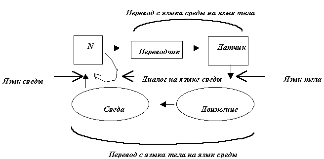Внутренние коды
      нейрона, датчика, тела и среды различны