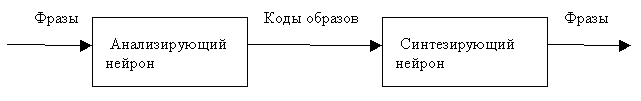 Передача сигнала между нейронами
      в виде кода образа