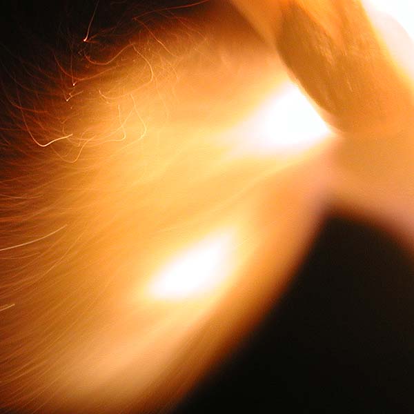 На фотографии видны траектории
      искр в виде огненных треков (чёрточек).