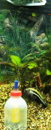 простейший генератора CO2 внутри аквариума