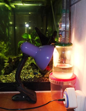 пример генератора с нагревом настольной лампой