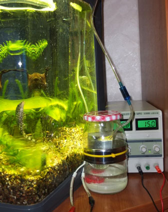 одна банка внутри другой включены и вырабатывают CO2