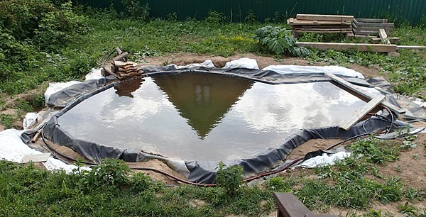 Пруд
      снова заполнен водой