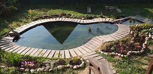 Самодельный
      пруд с берегом из плитки