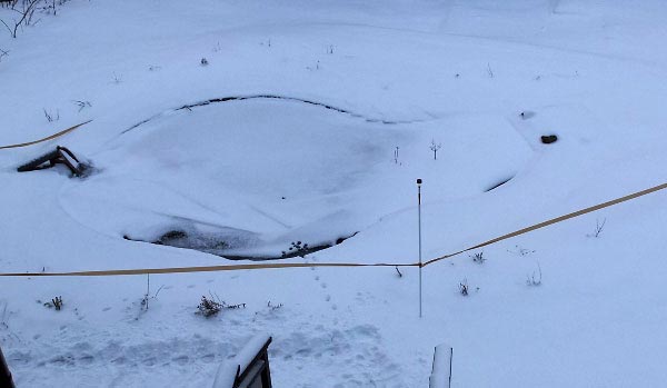 Пруд
      скрылся под снегом