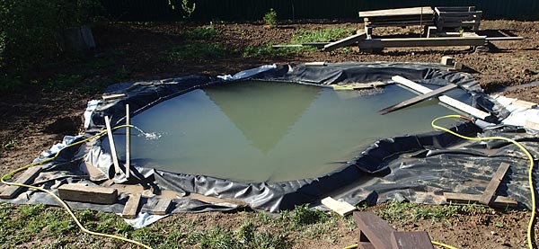 Пруд
      покрыт чёрной плёнкой и заполнен водой до краёв