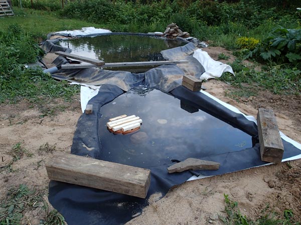 Нижний
      мелкий пруд для фильтра (биоплато)