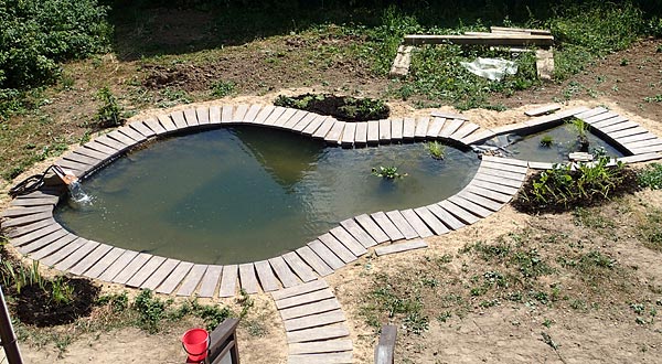 Пруд
      в виде рыбки в плане 5x10м. Берег выложен плиткой 75x20см.