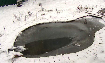 при
      -5C пруд не замерзает